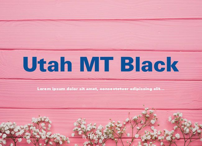 Utah MT Black example